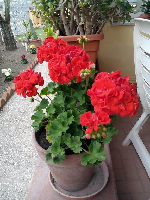 Camera Matrimoniale/Doppia con Letti Singoli con Bagno Privato Esterno